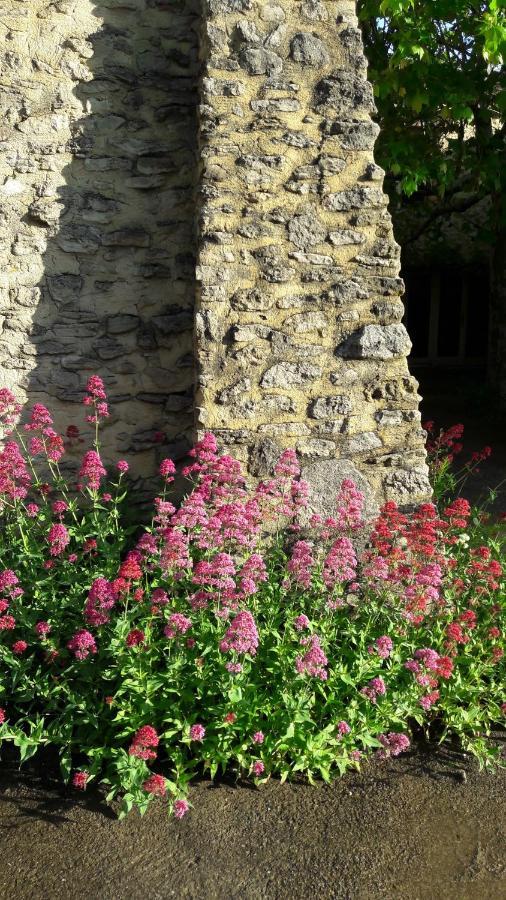 Gite Aux Tournesols Malaucene Bagian luar foto