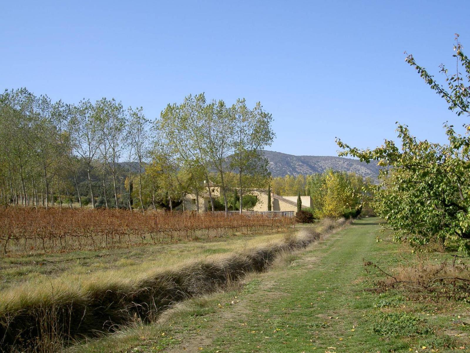 Gite Aux Tournesols Malaucene Bagian luar foto